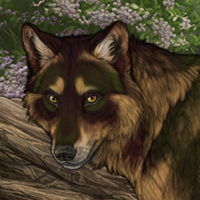 Wolf Headshot