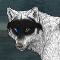 Wolf Headshot