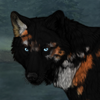 Fireheart Headshot