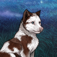 Piebald: Frontal Headshot