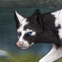 Piebald Headshot