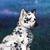 Dalmatian | Male | 1 Headshot