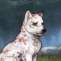 Grossular Dalmatian Headshot