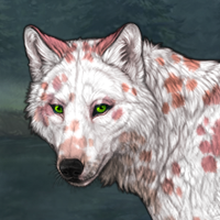 Grossular Dalmatian Headshot