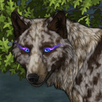 SpeckledMoon Headshot