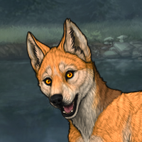 Foxheart {Scout} Headshot