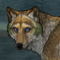 Forestsong Headshot