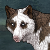 Kingdom - PIEBALD Headshot