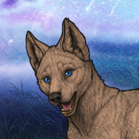 Aleu Headshot