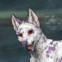 DALMATIAN T2 merle Headshot