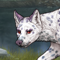 DALMATIAN T2 merle Headshot