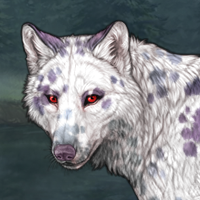 DALMATIAN T2 merle Headshot