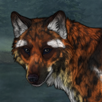 Rune Headshot
