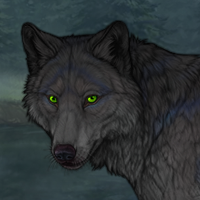 Rotvein Headshot