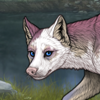 piebald runt Headshot