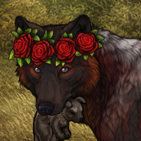 🌹Skorn🌹 Headshot