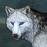 Wolf Headshot