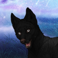 Black Shuck Headshot