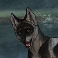 New Puppy Headshot