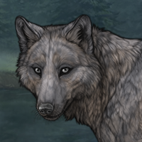 Olynthus Headshot