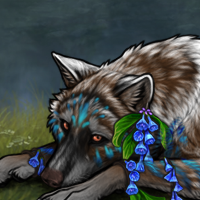 Wolf Headshot