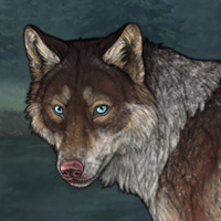 Nairn Headshot