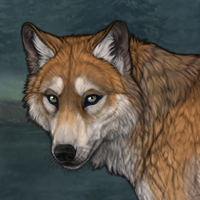 Dhole fin Headshot