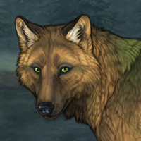 Forest Watcher Headshot