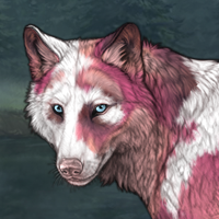 Petalfall Headshot