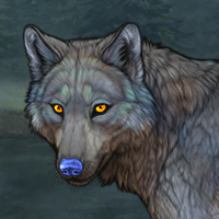 Wolf'bite Headshot
