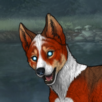 Shadedpaw Headshot