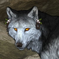Wolf Headshot