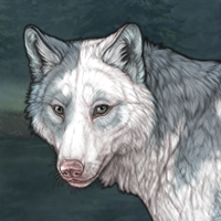 Piebald: Torn Headshot