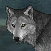 Wolf's Solemn Howl Headshot