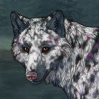 May Headshot