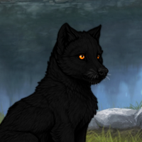 Melanism Headshot