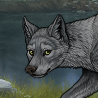 SilverFang Headshot