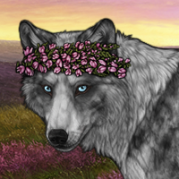 Wolf Headshot
