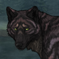 Kavaa Headshot