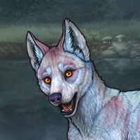 Glaucous pup Headshot