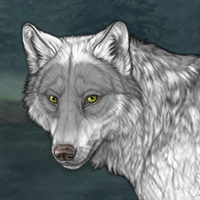 Wolf Headshot