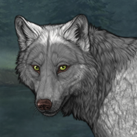 Wolf Headshot