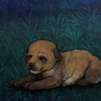 New Puppy Headshot