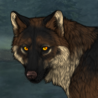 Wolf Headshot