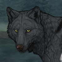 Wolf Headshot