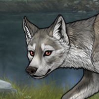 Veolf Headshot