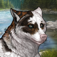 𝖱𝖺𝗂𝗃ū Headshot