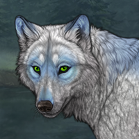Wolf Headshot