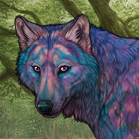 Wolf Headshot