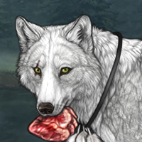 Wolf Headshot